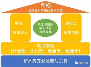 研發(fā)項(xiàng)目管理在教育項(xiàng)目中的實(shí)踐與策略