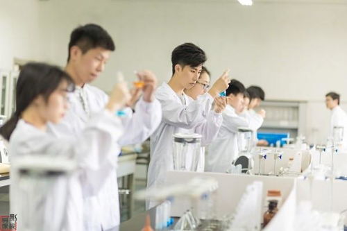 農產品檢測的關鍵項目與教育項目研發的價值
